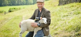 Sony mouton film tour de france